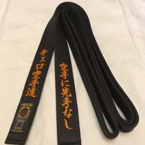 Hirota B-601 Special Silk Black Belt - 4.0 cm wide