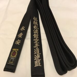 Hirota B-602 Special Silk Black Belt - 4.5 cm wide